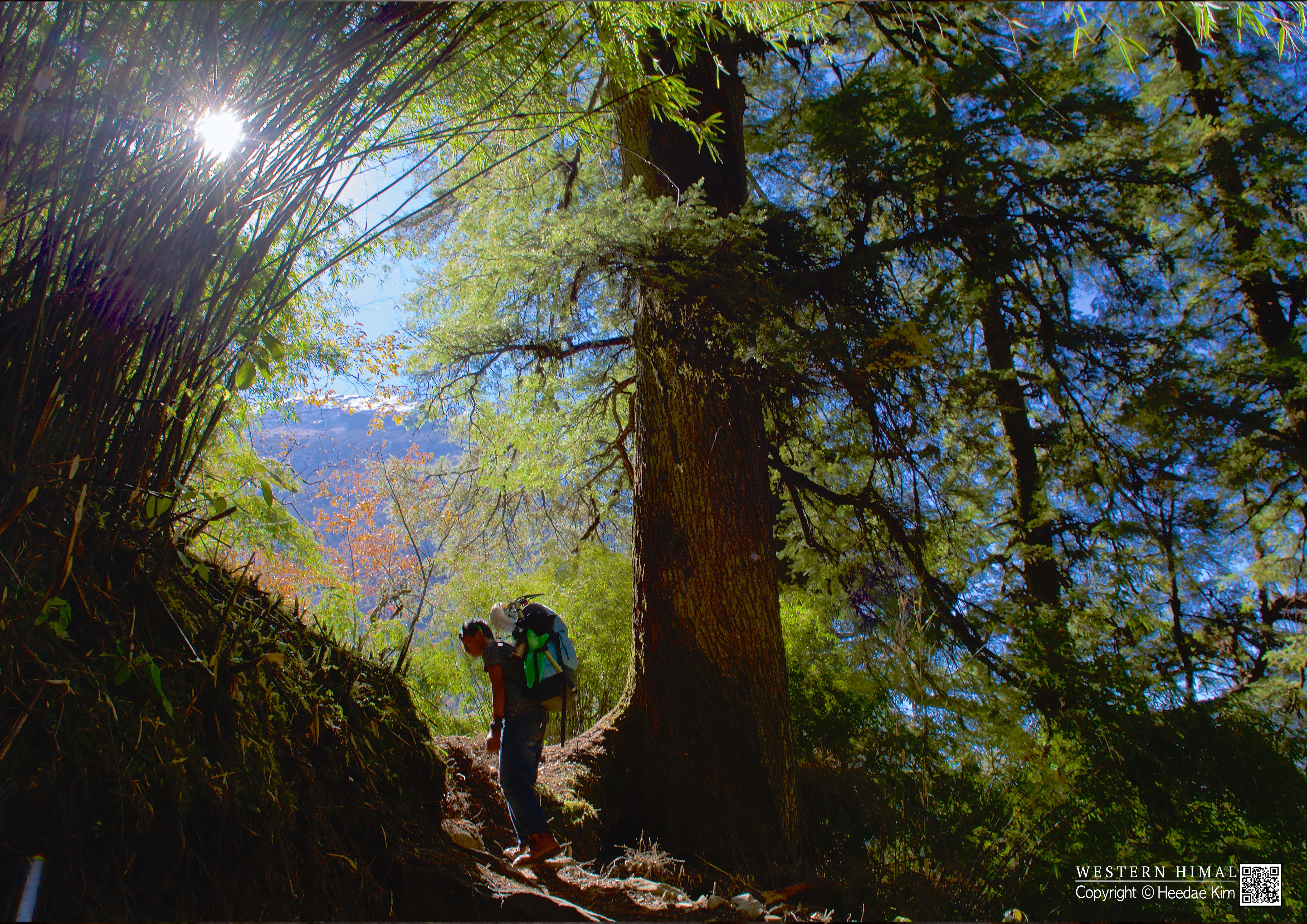 Himalaya landscape photogrphy